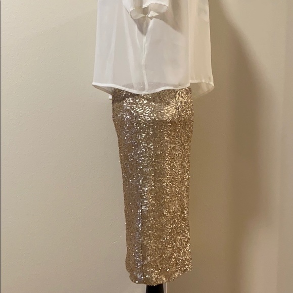 Tinley Road  Sequins Skirt - Picture 3 of 4
